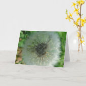 Carte Graines de Dandelion (Fleur jaune)
