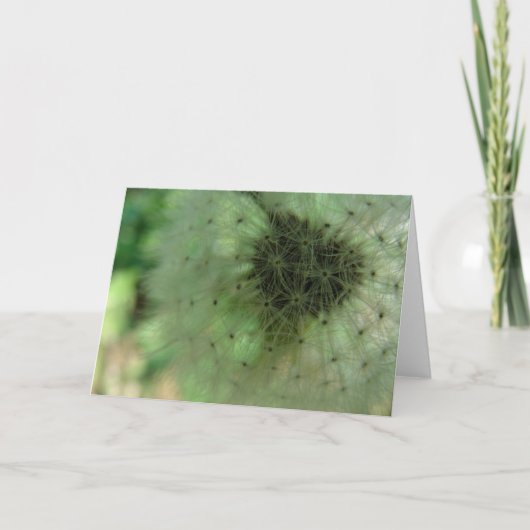 Carte Graines de Dandelion (Devant)