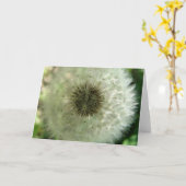 Carte Graines de Dandelion (Fleur jaune)