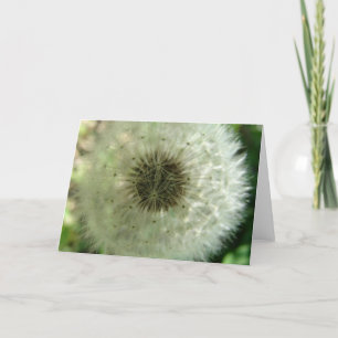 Carte Graines de Dandelion