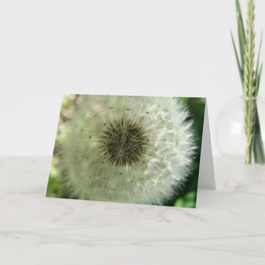 Carte Graines de Dandelion (Devant)