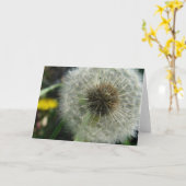 Carte Graines de Dandelion (Fleur jaune)