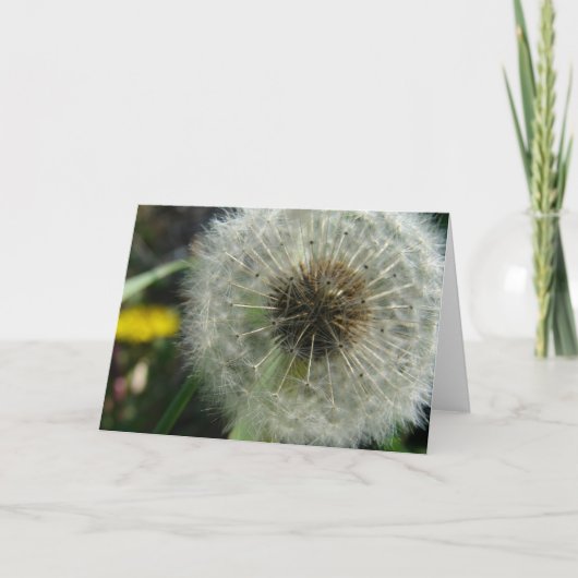 Carte Graines de Dandelion (Devant)