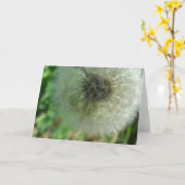 Carte Graines de Pissenlit (Fleur jaune)