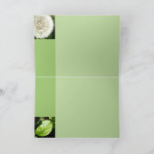 Carte Graines prêtes à voler (Intérieur)