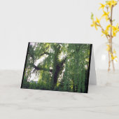 Carte Grand arbre 2 (Fleur jaune)