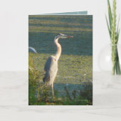 Carte Grand bleu (Devant)