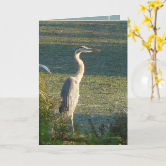 Carte Grand bleu (Fleur jaune)