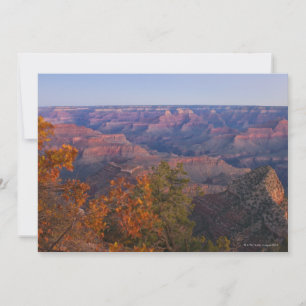 Carte Grand Canyon à Sunrise