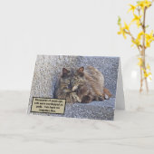 CARTE GRAND CHAT FLUFFÉ, REGARDE SUPÉRIEURE/CITE CAT (Fleur jaune)