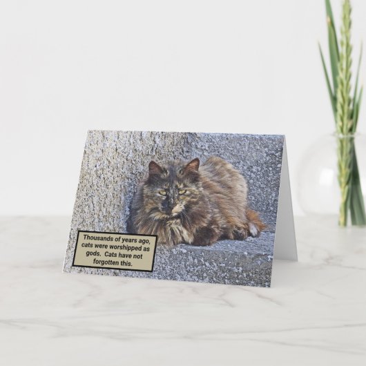 CARTE GRAND CHAT FLUFFÉ, REGARDE SUPÉRIEURE/CITE CAT (Devant)
