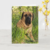 Carte Grand chien anglais de mastiff - souhaits (Fleur jaune)
