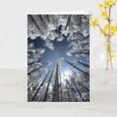 Carte Grand Cypress (Fleur jaune)