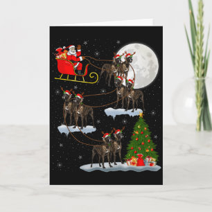 Carte Grand Danois Chien Père Noël Traîneau Volant Drôle