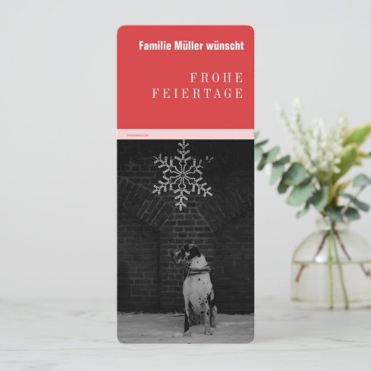 Carte Grand Danois noir rouge (Debout devant)