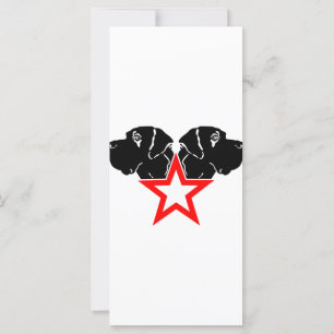 Carte Grand Danois Star Head