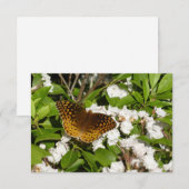 Carte Grand Fritillaire en éperon sur le Laurel de monta (Devant / Derrière)