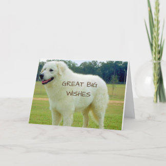 CARTE GRAND "GRAND SOUHAIT" POUR VOUS SUR "FÊTE DES PÈRE