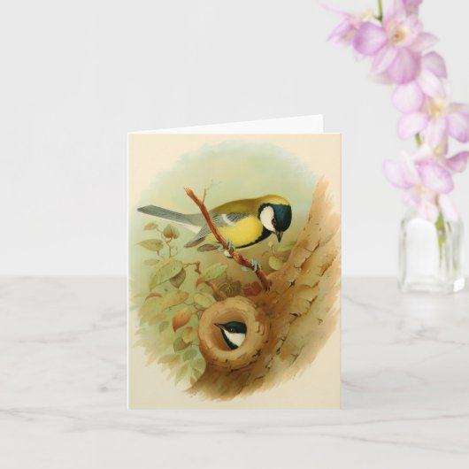 Carte Grand métis - Oiseau coloré, Art (Orchidée)