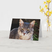 CARTE GRAND PORTRAIT TURQUE CHAT (Fleur jaune)