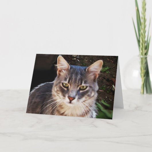 CARTE GRAND PORTRAIT TURQUE CHAT (Devant)