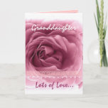 Carte GRANDDAUGHTER Anniversaire - Rose rose rose rose e<br><div class="desc">Cette carte d'anniversaire avec sa rose et sa dentelle rose pastel est une façon douce de souhaiter à votre petite-fille très spéciale un joyeux anniversaire. Pour voir plus de mes cartes d'anniversaire,  tapez ou collez dans la boîte de recherche de Zazzle :  carte d'anniversaire jaclinart</div>