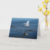 Carte Grande Aiguille blanche marche sur l'eau (Fleur jaune)