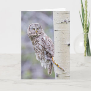 Carte Grande branche de tremble gris