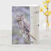 Carte Grande branche de tremble gris (Fleur jaune)