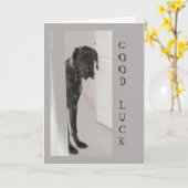 Carte Grande Danse Animaux Animaux de Compagnie Humeur B (Fleur jaune)