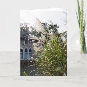 Carte Grandes herbes Arché Windows - Vignoble de Martha