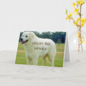 CARTE GRANDS "BEAUX VOEUX" POUR VOUS POUR VOTRE "ANNIVER (Fleur jaune)