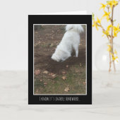 Carte Grands Pyrénées (Fleur jaune)