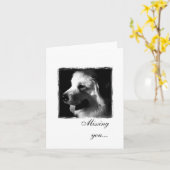 Carte Grands Pyrénées Noir et Blanc Photo (Fleur jaune)