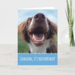 Carte Grandson Birthday, Happy Dog with Big Smile<br><div class="desc">Célébrer un anniversaire est quelque chose à sourire, et ce chien heureux apportera un grand sourire au visage de votre petit-fils. Cet adorable et insouciant petit est un espagne brun et blanc qui a été secouru de l'abri. Elle aime maintenant l'herbe verte, le ciel bleu et de nombreux anniversaires heureux....</div>