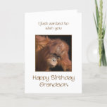 Carte Grandson Birthday, Orang Utan<br><div class="desc">Give your grandson a cheeky monkey of a birthday card. A birthday card for your very own top banana! A baby orangutan looking cute.</div>