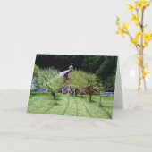 Carte Grange de Westside (Fleur jaune)