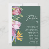 Carte Graphique de chiffres de la table verte tropicale  (Dos)