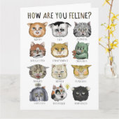 Carte Graphique de sensations drôle de chat Comment êtes (Fleur jaune)