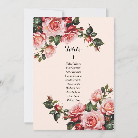 Carte graphique de sièges rose et rouge de jolies (Devant)