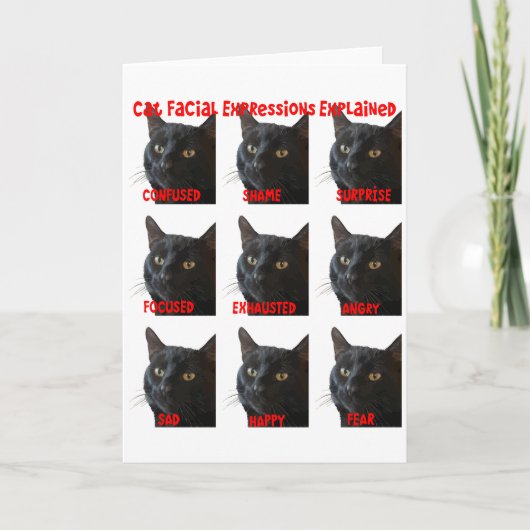 Carte Graphique des expressions faciales de chat expliqu (Devant)