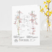 Carte Graphique des méridiens humains (Fleur jaune)
