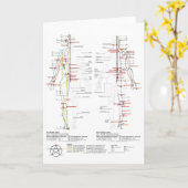 Carte Graphique des méridiens humains (Fleur jaune)