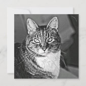 Carte Graphiques de chat par Miriam Kilmer de risingdove (Dos)