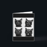 Carte Graphisme de chat drôle Photobooth Selfie Drôle _5<br><div class="desc">Graphisme de chat drôle Photobooth Selfie Drôle _5</div>