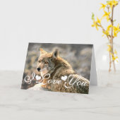 Carte Graphisme Loup sous la pluie Image Je t'aime (Fleur jaune)