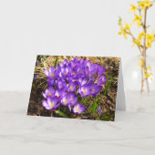 Carte Grappe de Crocus pourpres Floral de printemps (Fleur jaune)