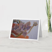 Carte Graptopetalum Paraguayense, Plante spectrale succu (Devant)