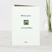 Carte Grass Dia del Padre en bronze (Dos)