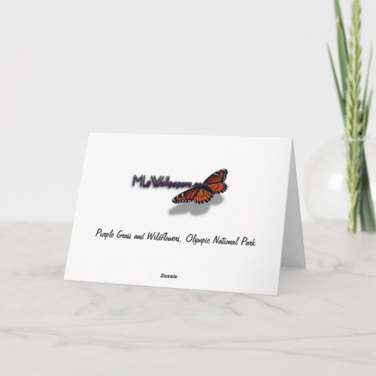 Carte Grass et Fleurs sauvages violets (Dos)